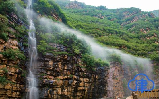 缤纷水果茶